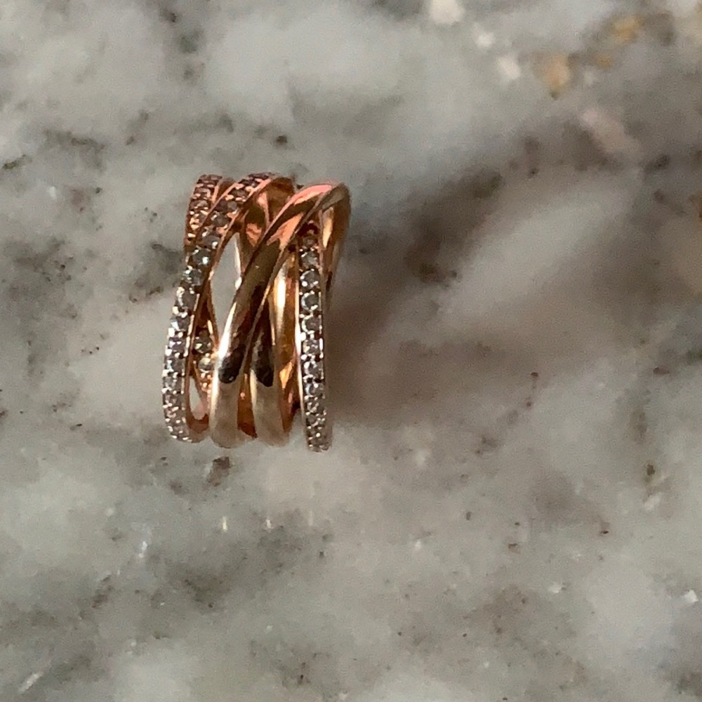 Pandora Sparkling & Polished Lines